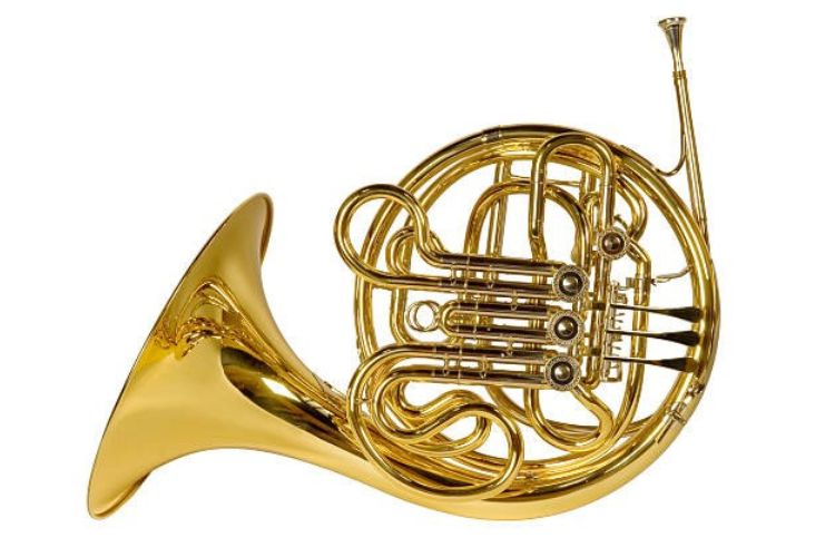 Musical Instrument