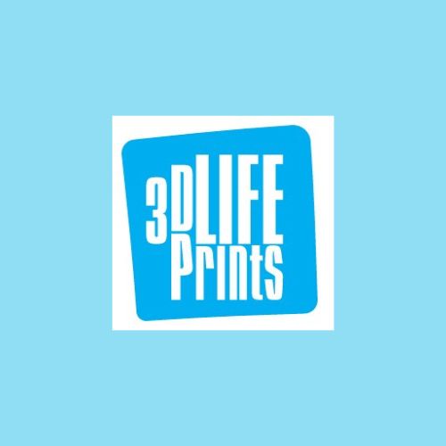 3D LifePrints