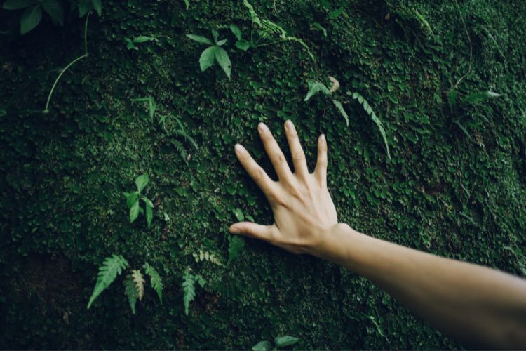 Environmental Compatibility