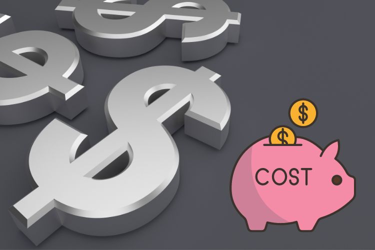 Cost