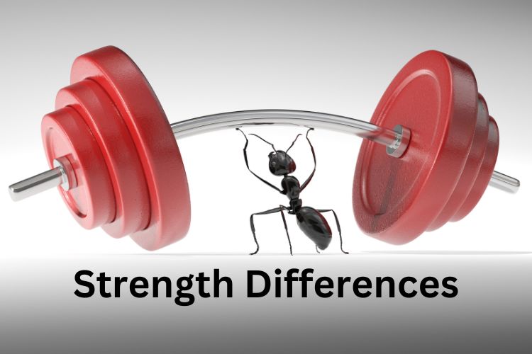 Strength Differences