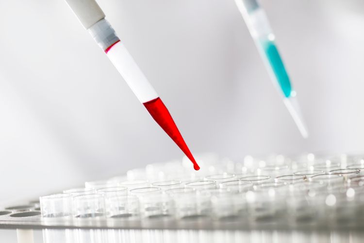 Are Medical-Grade Plastics Safe for Use