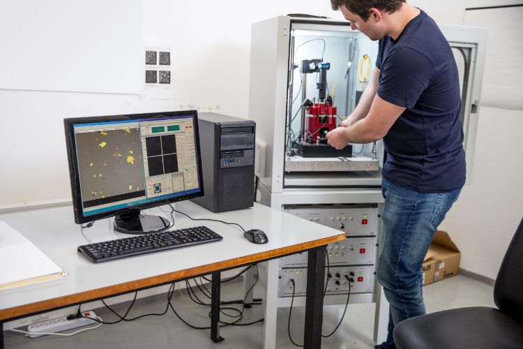 Atomic Force Microscopy