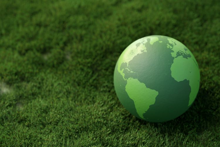 Environmental Factors