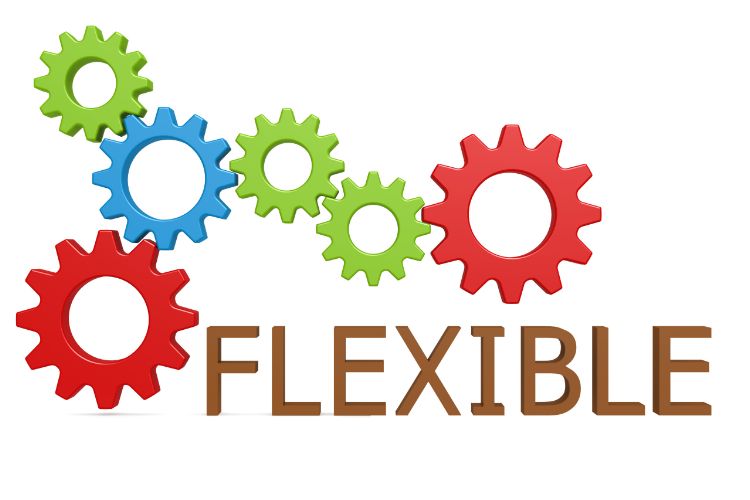 Flexibility