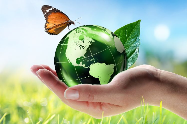 Impacts on the Environment