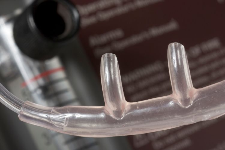 Nasal cannulas