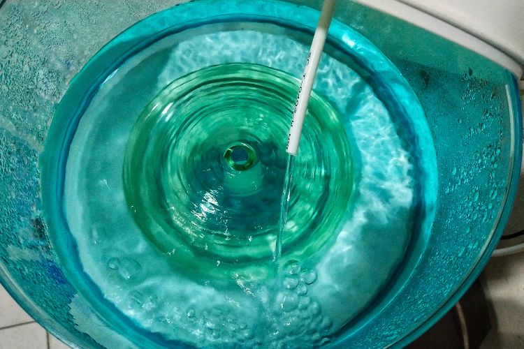 Bioglass