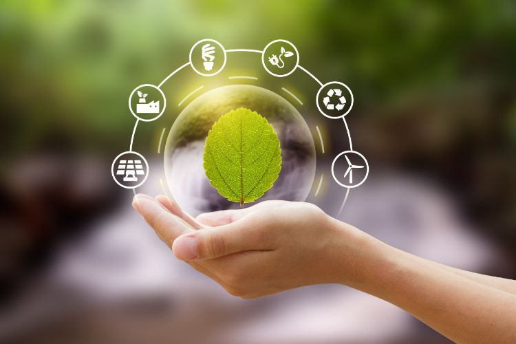 Environmental Sustainability
