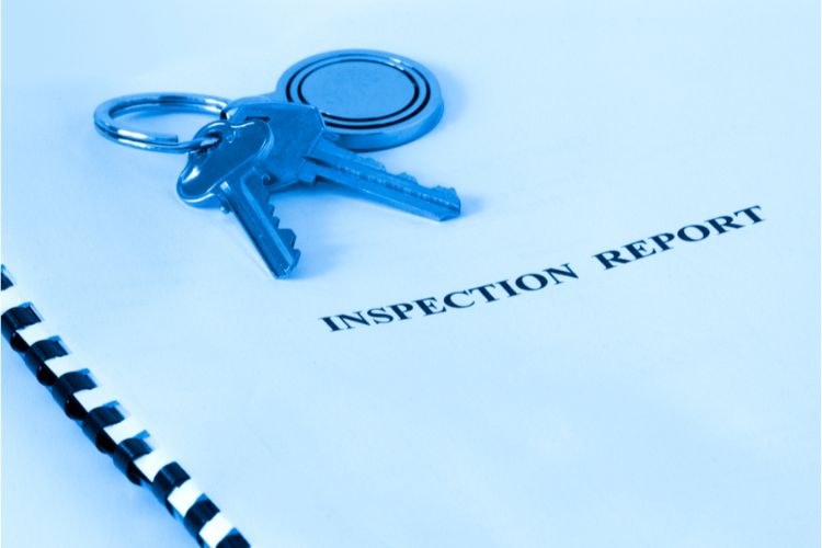 Inspection Report