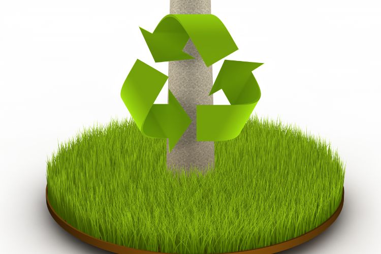 environmental impact