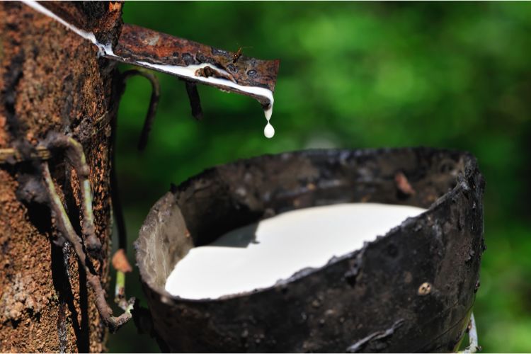 Natural Rubber