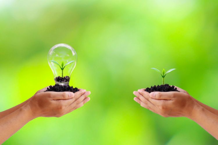 Environmental Impact