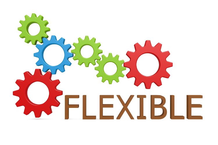 Flexibility
