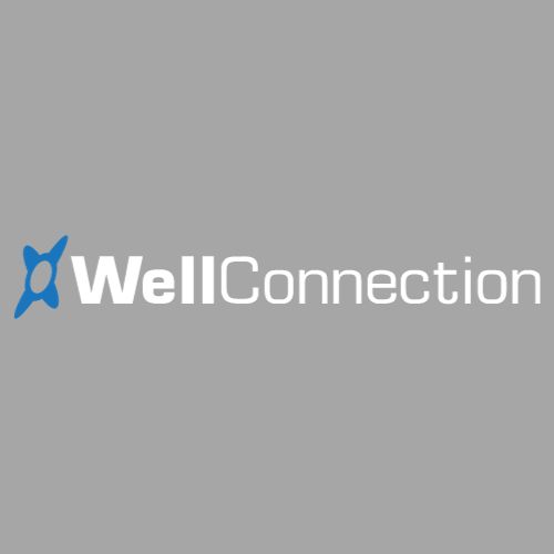 1. WELL CONNECTION
